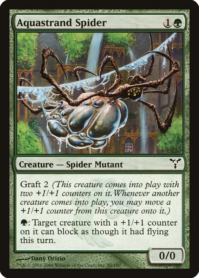 Aquastrand Spider Front Face