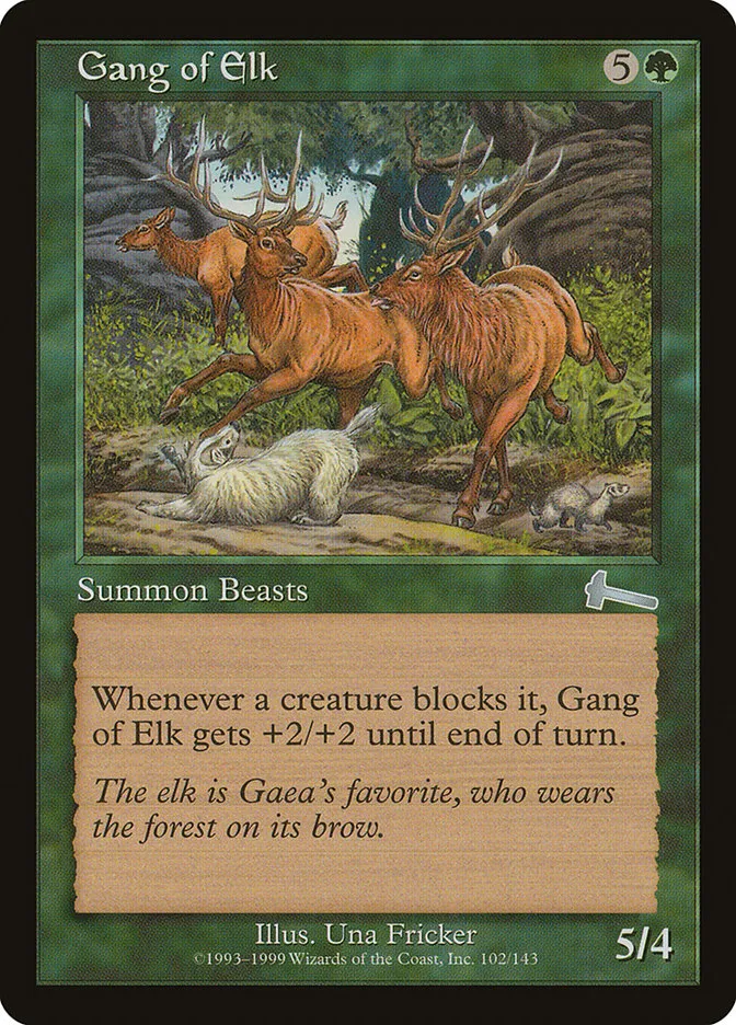 Gang of Elk Front Face