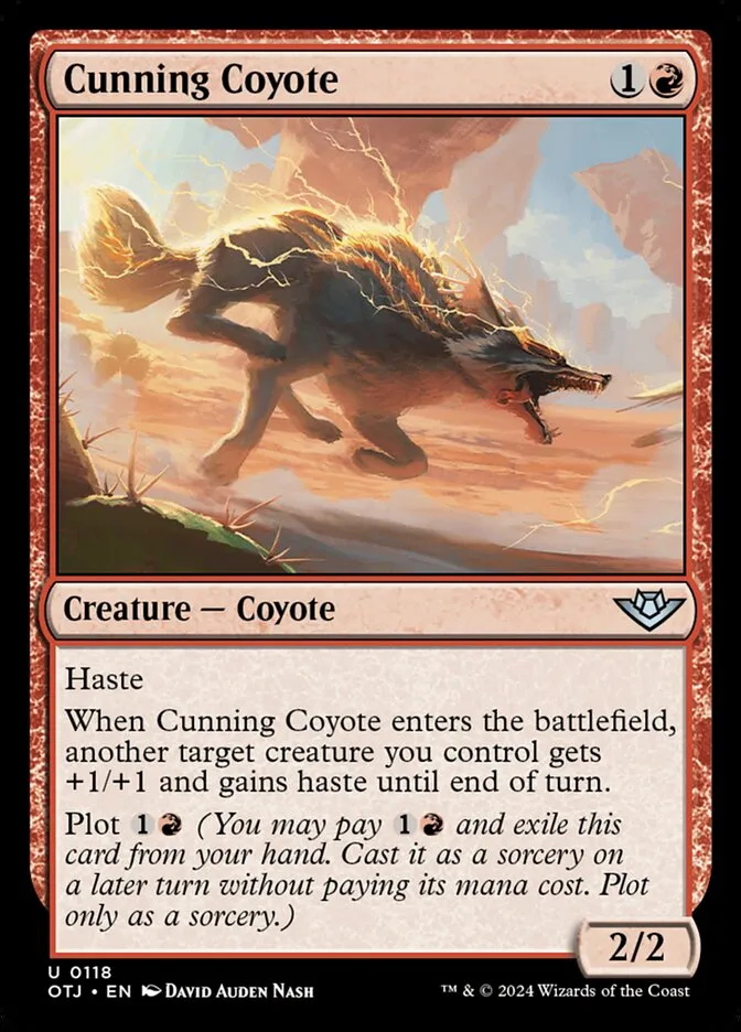 Cunning Coyote Front Face