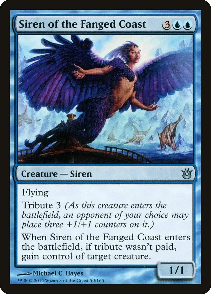 Siren of the Fanged Coast Front Face