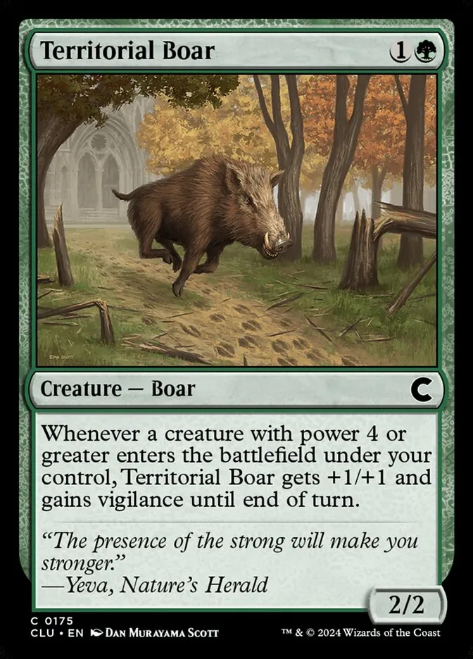 Territorial Boar Front Face