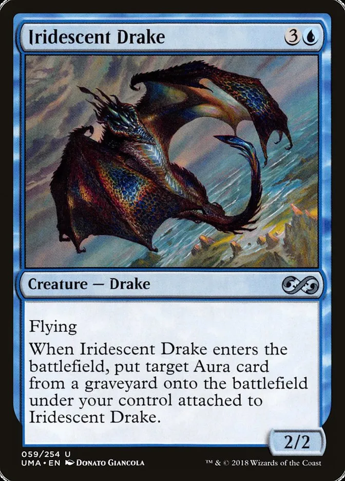 Iridescent Drake Front Face