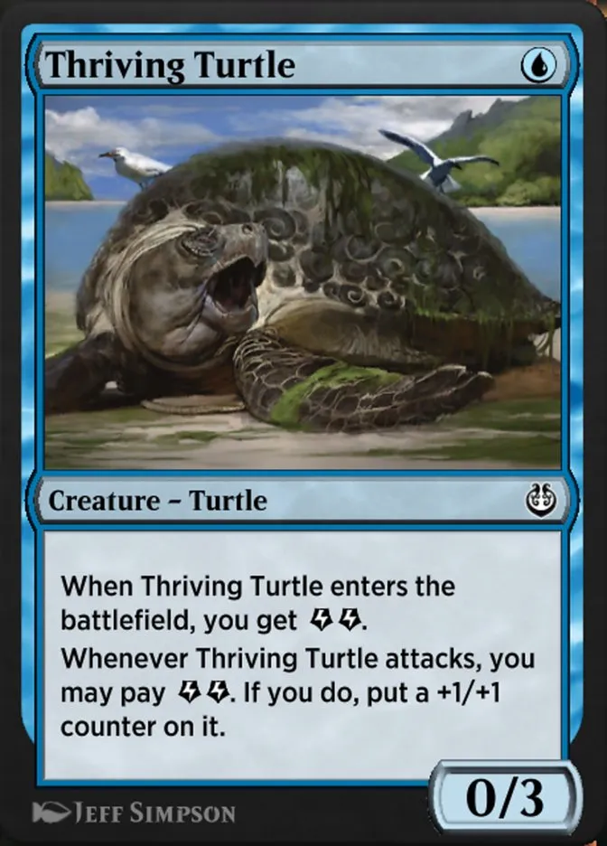Thriving Turtle Front Face