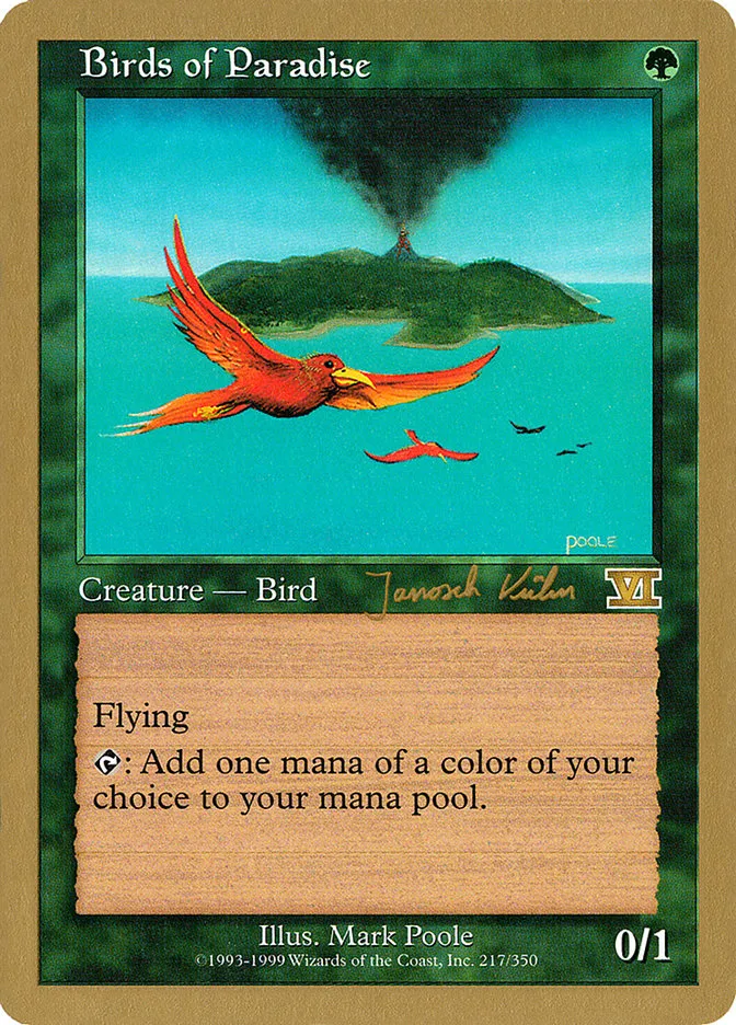 Birds of Paradise