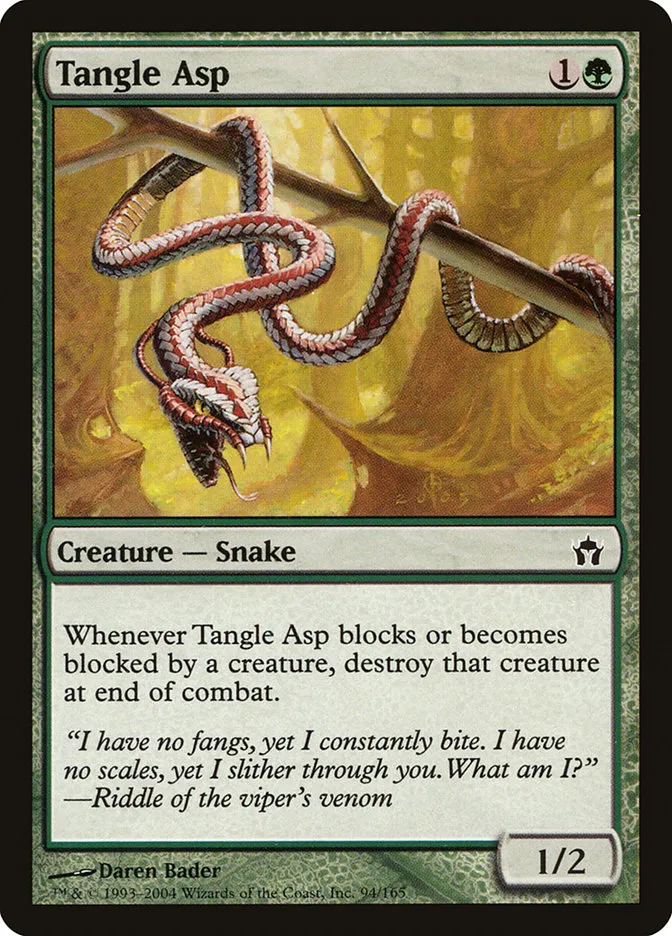 Tangle Asp Front Face