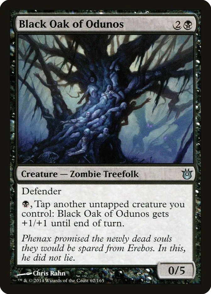 Black Oak of Odunos Front Face