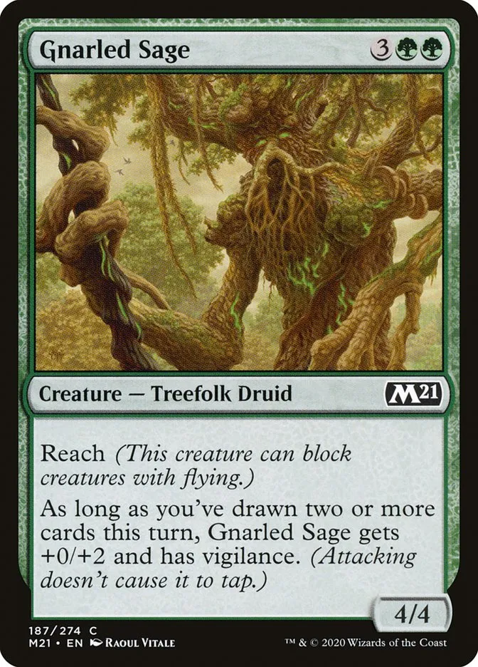 Gnarled Sage Front Face