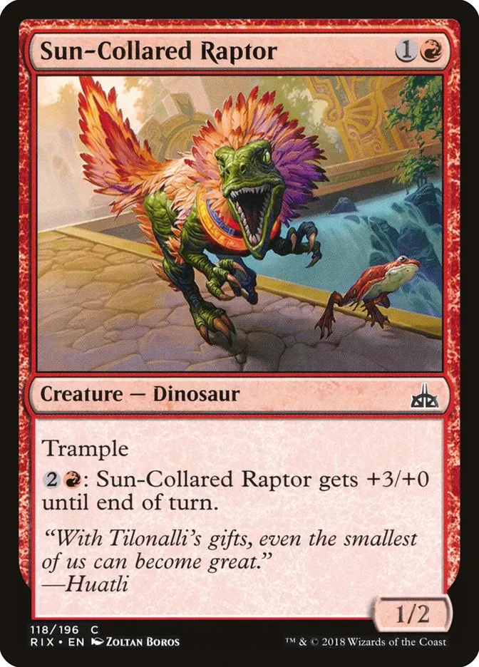 Sun-Collared Raptor Front Face