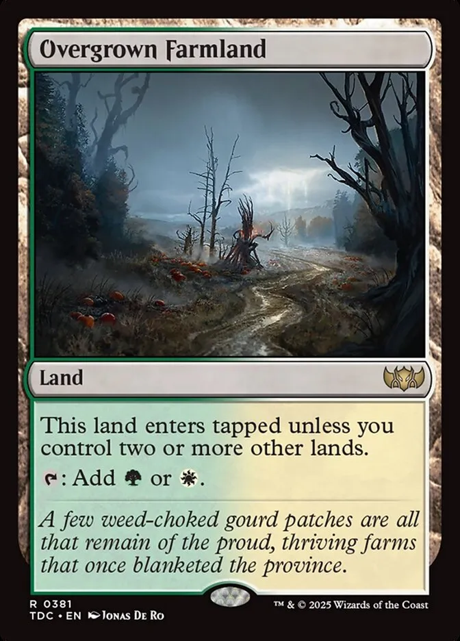 Overgrown Farmland Front Face