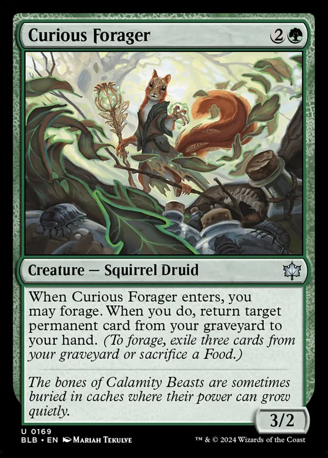Curious Forager Front Face