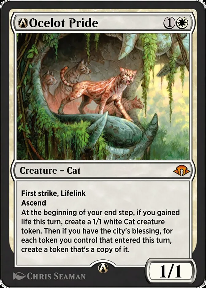 A-Ocelot Pride Front Face