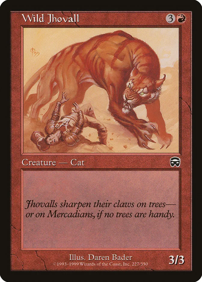 Wild Jhovall Front Face