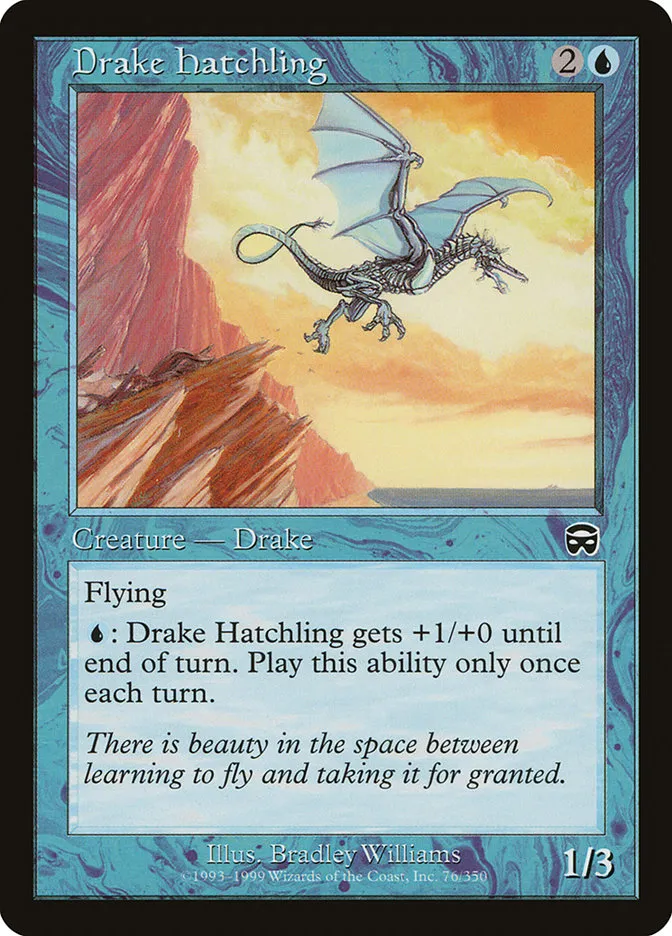 Drake Hatchling Front Face
