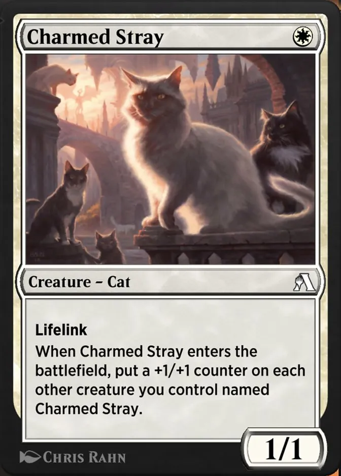 Charmed Stray Front Face