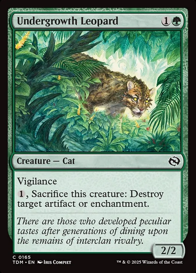 Undergrowth Leopard Front Face