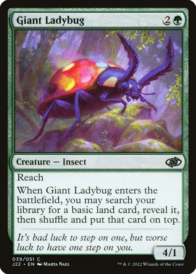 Giant Ladybug Front Face