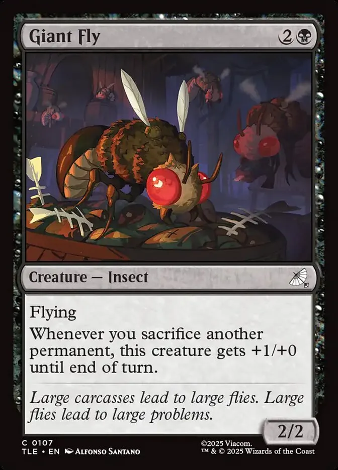 Giant Fly Front Face