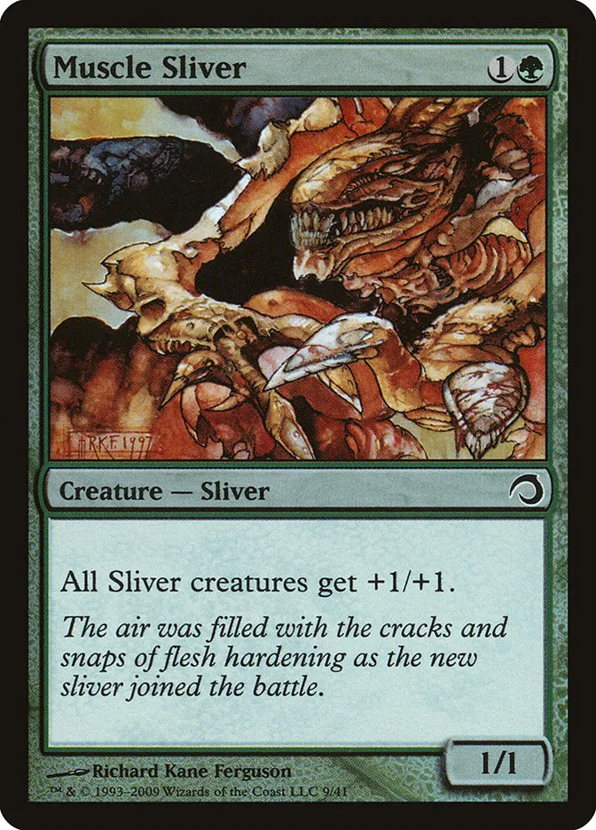 Muscle Sliver Front Face