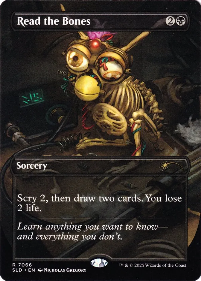 Read the Bones Front Face