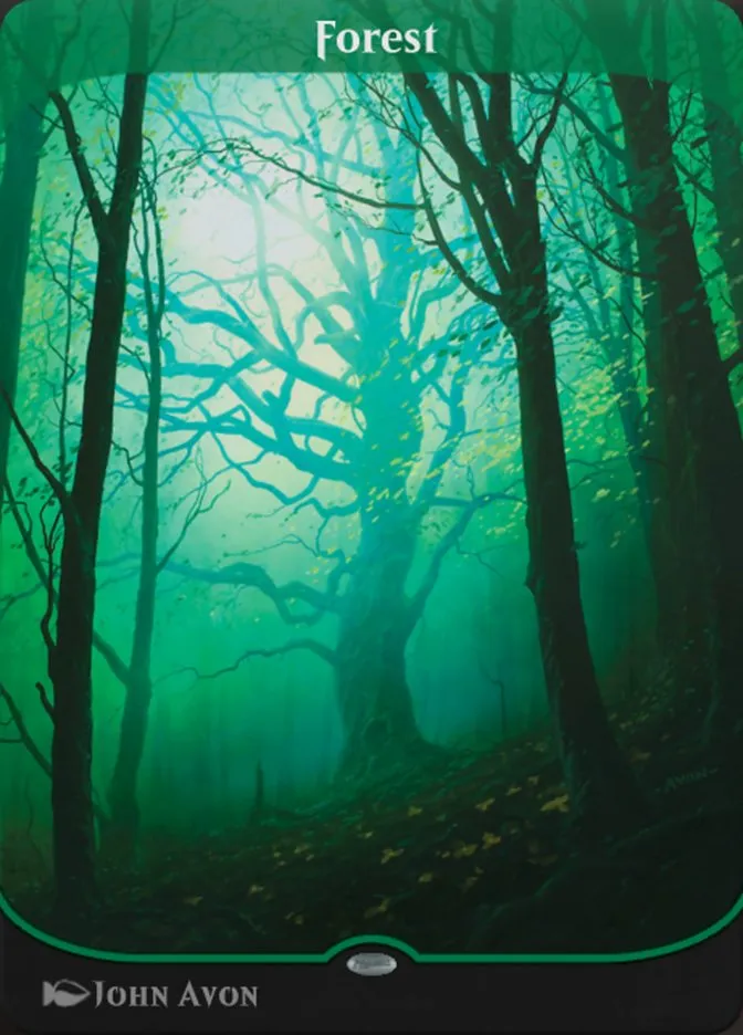 Forest