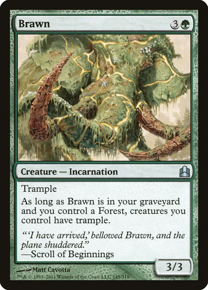 Brawn Front Face
