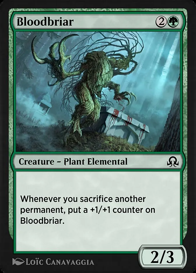 Bloodbriar Front Face