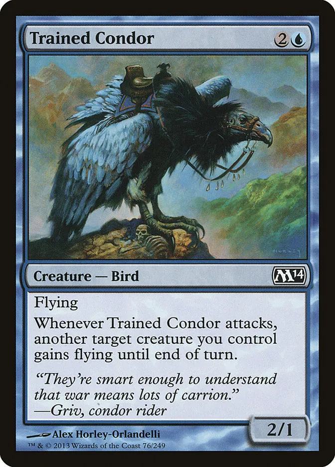 Trained Condor Front Face
