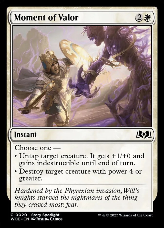 Moment of Valor Front Face