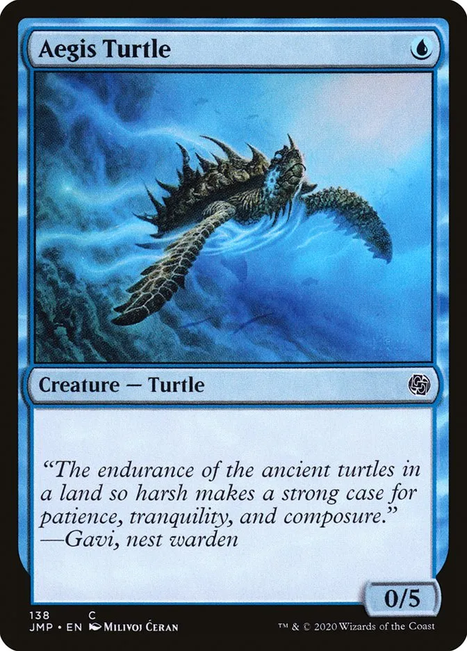 Aegis Turtle Front Face