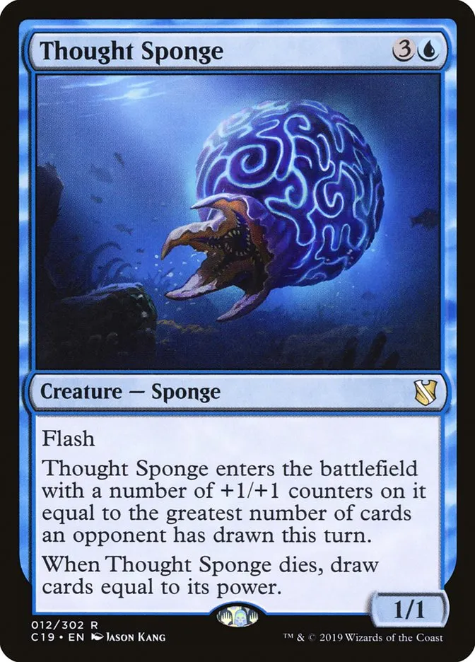 Thought Sponge Front Face
