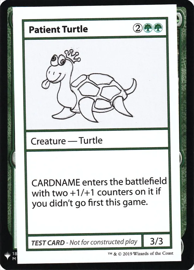 Patient Turtle Front Face