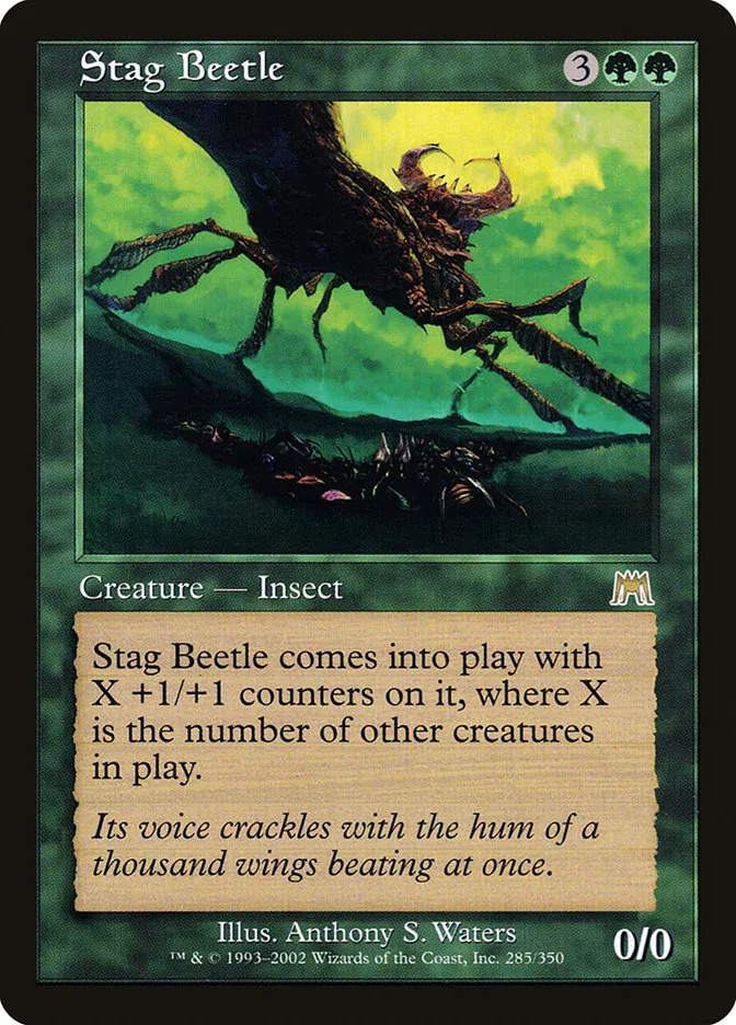 Stag Beetle Front Face