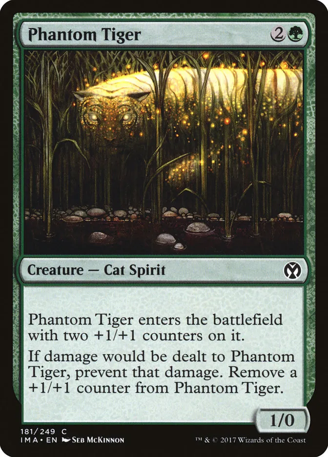 Phantom Tiger Front Face