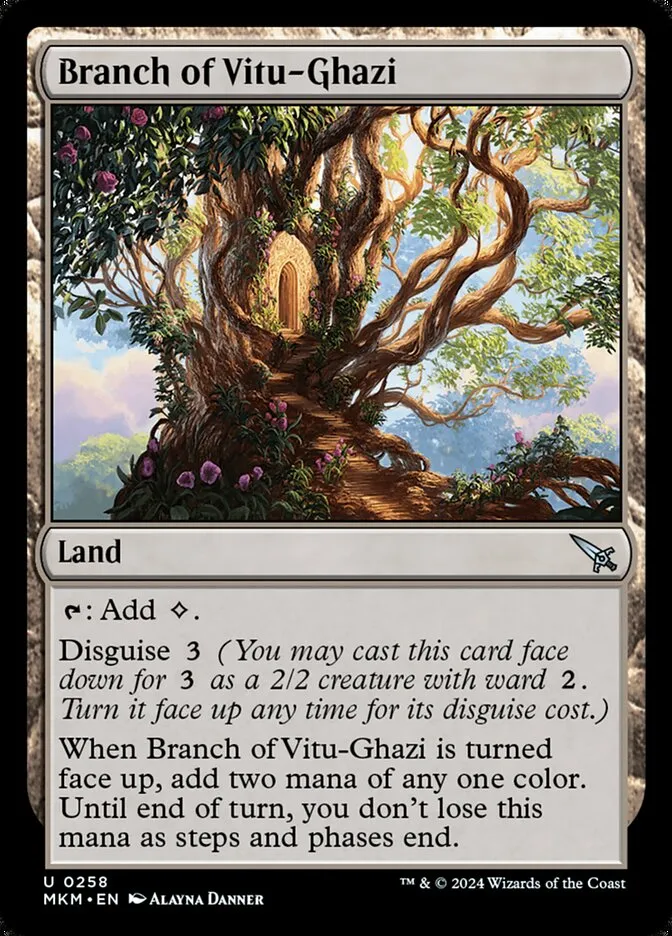 Branch of Vitu-Ghazi Front Face