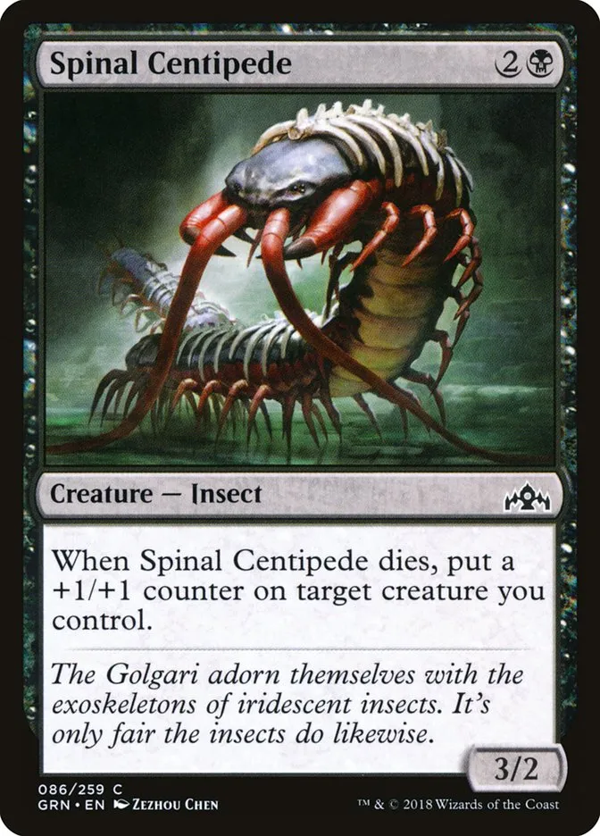 Spinal Centipede Front Face