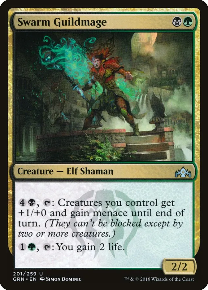 Swarm Guildmage Front Face