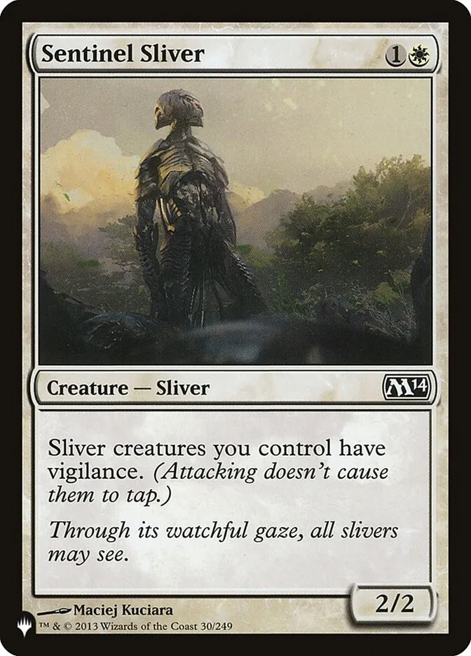 Sentinel Sliver Front Face