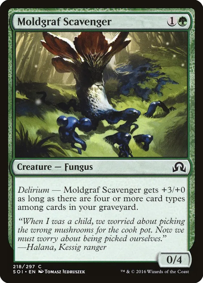 Moldgraf Scavenger Front Face