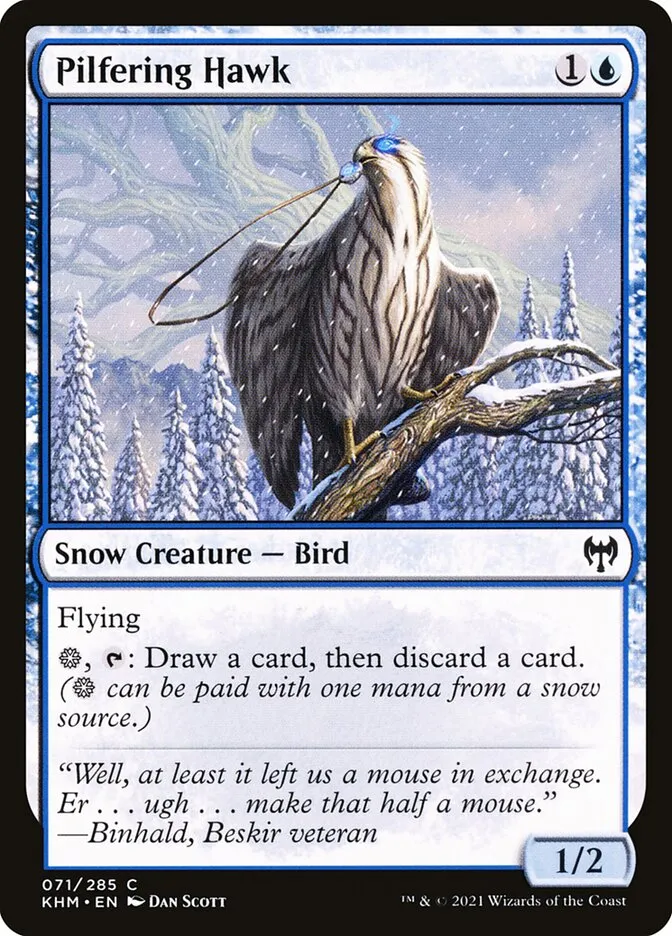 Pilfering Hawk Front Face