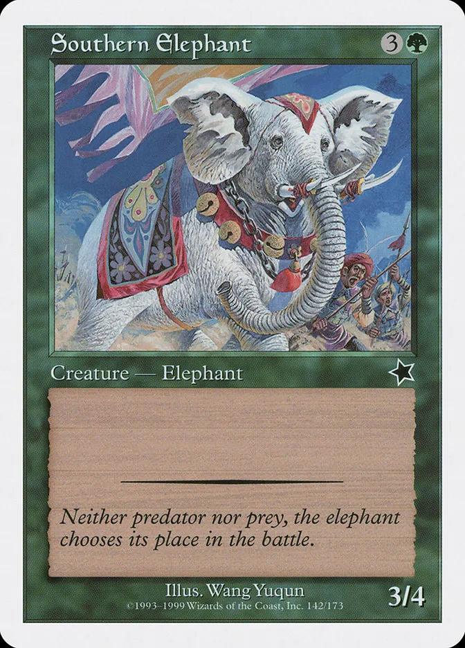 Southern Elephant Front Face