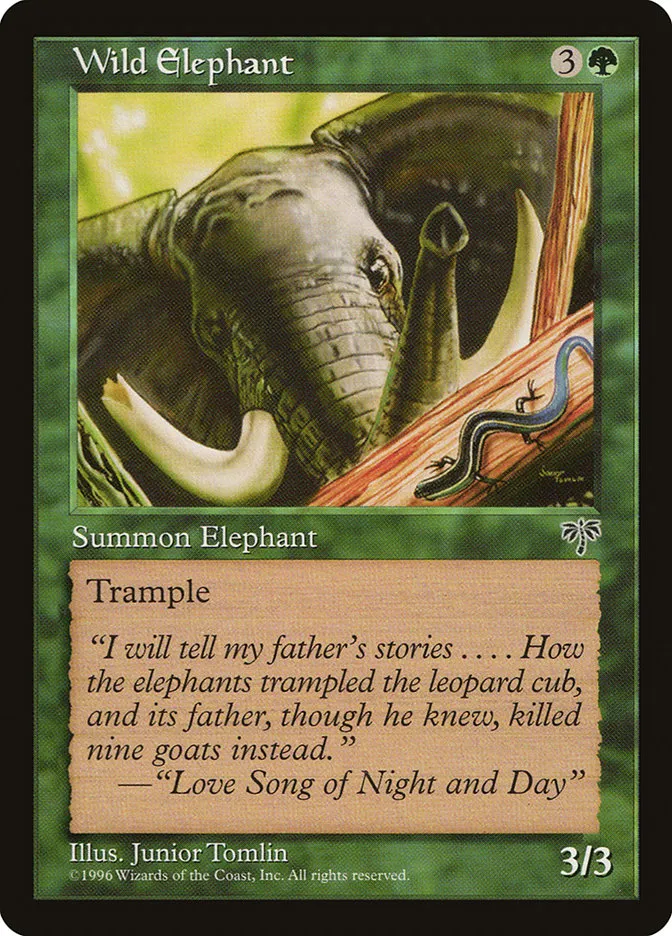 Wild Elephant Front Face