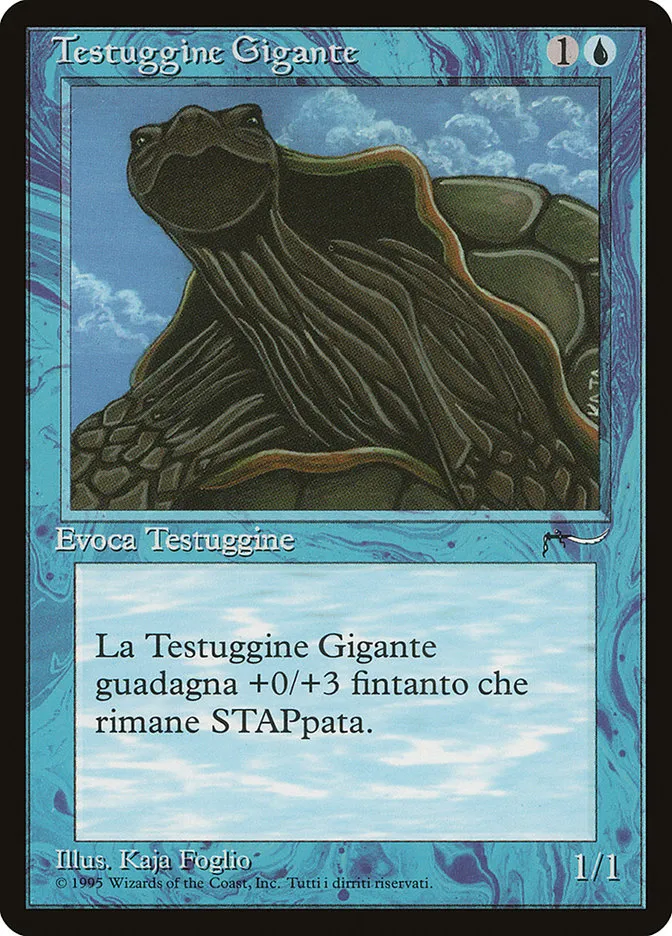 Giant Tortoise Front Face