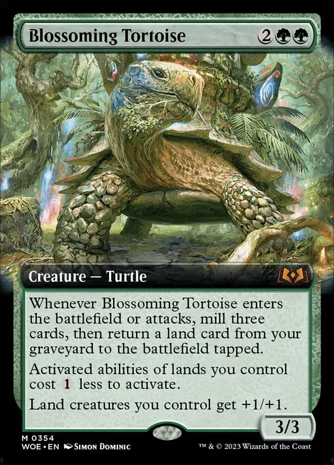 Blossoming Tortoise Front Face
