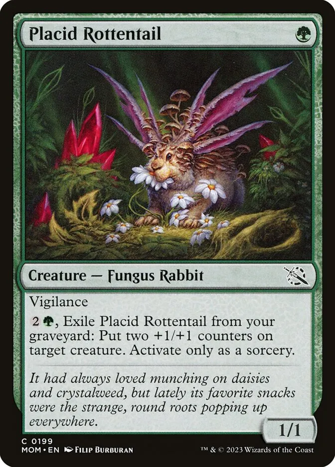 Placid Rottentail Front Face