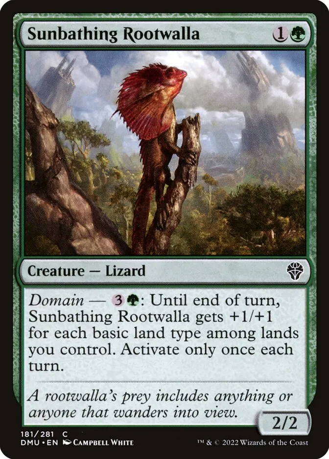 Sunbathing Rootwalla Front Face