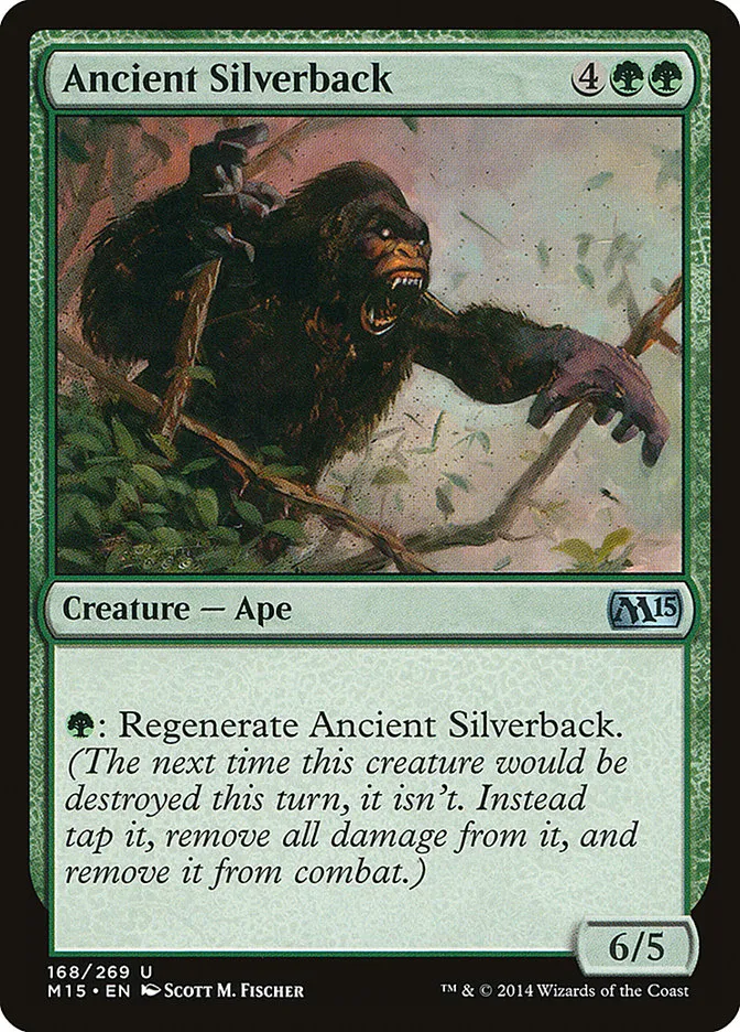Ancient Silverback Front Face