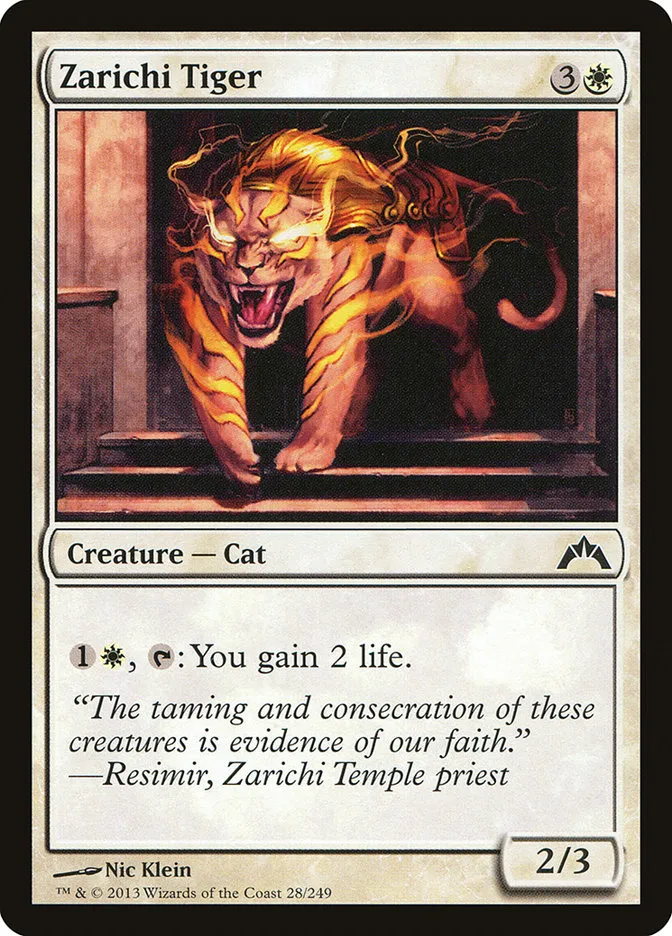 Zarichi Tiger Front Face
