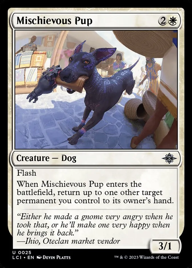 Mischievous Pup Front Face