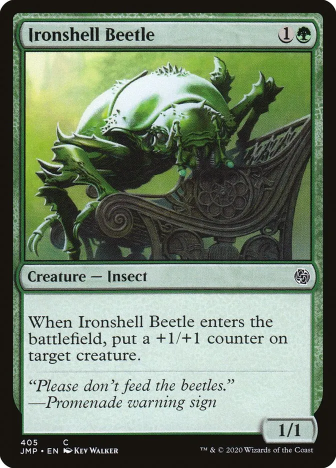 Ironshell Beetle Front Face