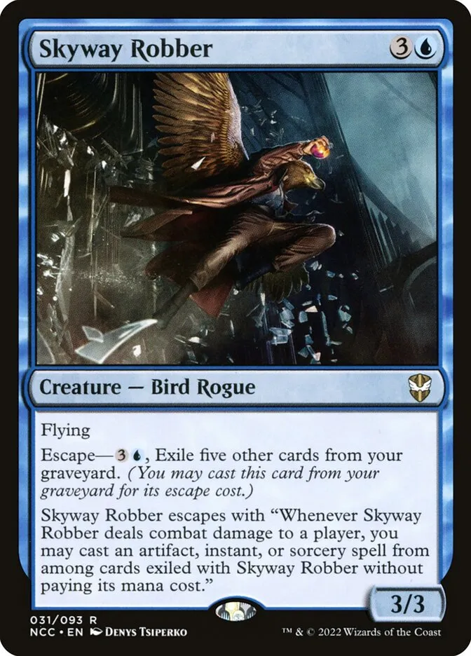 Skyway Robber Front Face